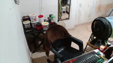 Snapshot of leonino231 chatting on December 2025 04:06:02 AM leonino231 online show from December 2025 04:06:02 AM