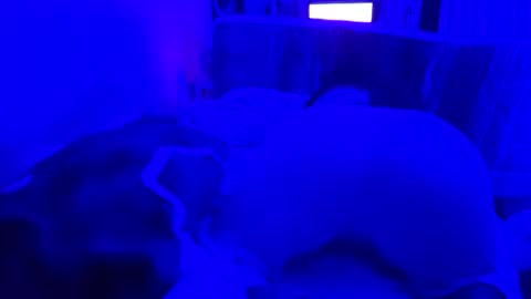 leothegirl88 online show from June 2026 11:57:02 AM