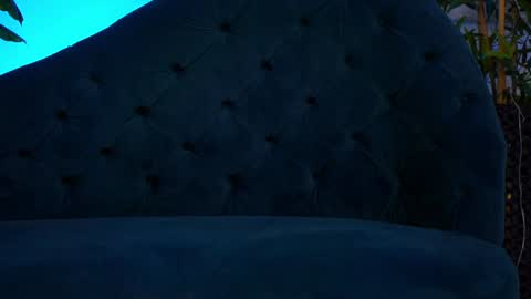 Jessie online show from January 2025 11:48:01 AM