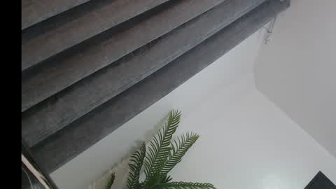 Trisha18 online show from February 2025 06:44:02 PM