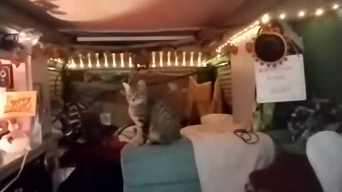 LesleyGumGrass- The Boring Trans girl online show from December 2025 03:56:02 AM