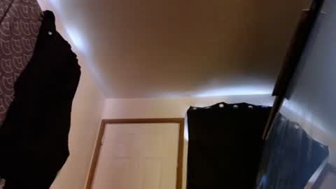 letsplay361 online show from May 2026 12:33:01 PM