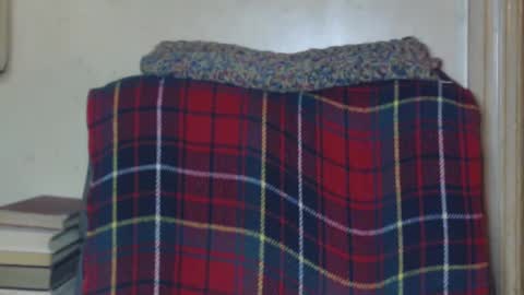 Snapshot of levon48 chatting on December 2024 01:28:02 AM levon48 online show from December 2024 01:28:02 AM