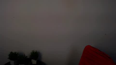 Alexia online show from June 2026 10:19:01 AM