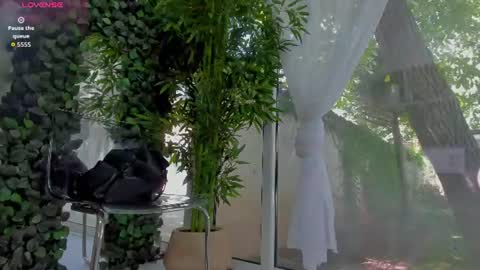 lexi_storm online show from June 2026 09:14:01 AM