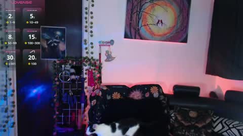 Lexxii online show from May 2026 09:00:02 PM