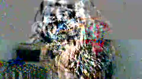 Snapshot of ley_blus1 chatting on December 2024 05:04:02 PM lolita online show from December 2024 05:04:02 PM