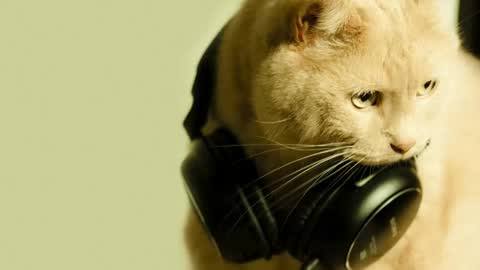 li_lit online show from April 2026 07:25:02 AM