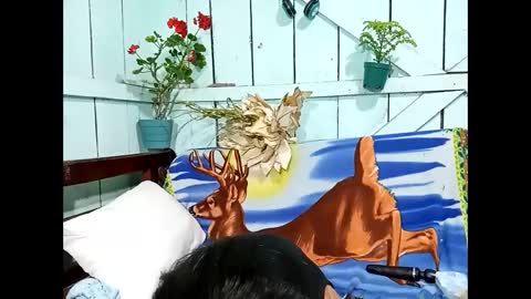 Lia online show from September 2025 09:25:02 PM