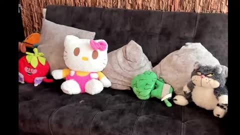 Snapshot of lia_rip01 chatting on October 2025 02:52:02 PM lia_rip01 online show from October 2025 02:52:02 PM