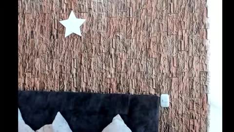 Snapshot of lia_rip01 chatting on October 2025 08:31:01 PM lia_rip01 online show from October 2025 08:31:01 PM