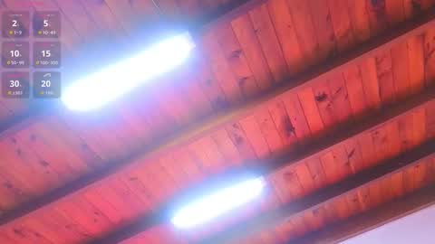 Snapshot of liacox chatting on March 2026 03:08:01 AM Lia Cox online show from March 2026 03:08:01 AM