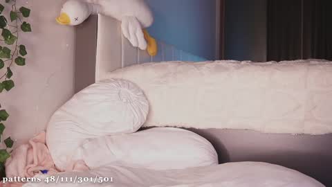 Molly  you can find Bunny here --  online show from February 2025 08:07:02 PM