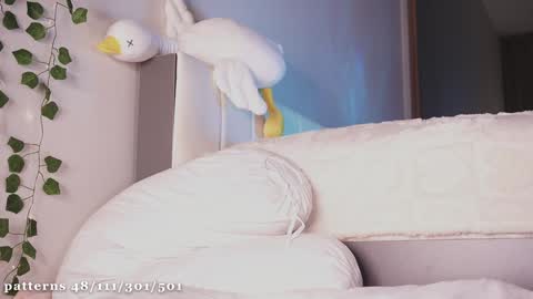 Molly  you can find Bunny here --  online show from March 2025 03:51:01 PM