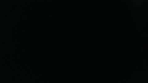 lickerxx46 online show from November 2025 04:29:02 PM