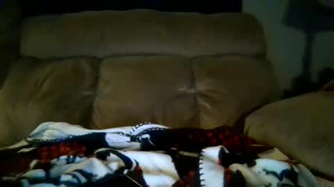 lickeypus online show from February 2026 07:51:01 AM