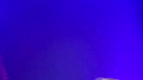 LickYourYoni online show from December 2024 02:19:02 PM