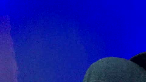 LickYourYoni online show from December 2024 04:43:02 PM