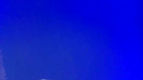 LickYourYoni online show from February 2025 04:04:01 PM