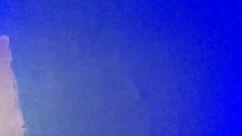 LickYourYoni online show from February 2025 03:36:02 PM