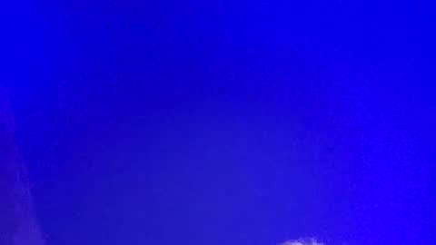 LickYourYoni online show from March 2025 02:48:01 PM