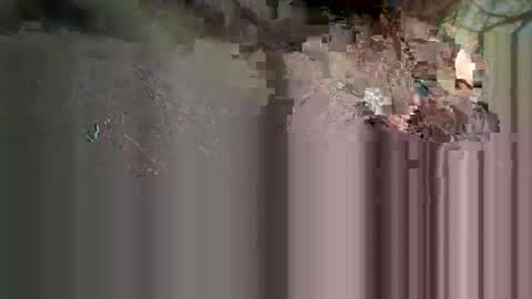 Light Mage online show from March 2026 05:56:02 AM