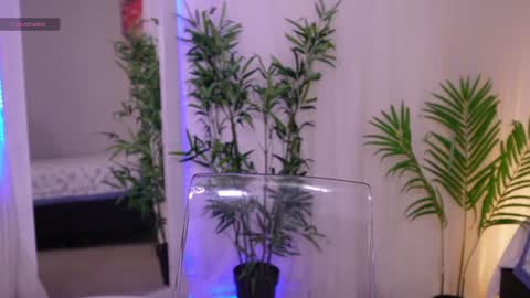 Lia Sweet online show from June 2026 04:22:02 PM