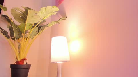 Hanna online show from January 2025 11:00:02 AM