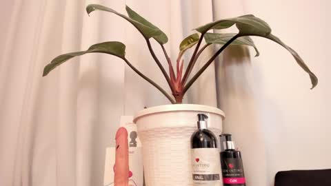 Lila online show from January 2025 10:46:02 PM