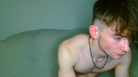 lilbearxxxx online show from April 2026 12:08:01 AM