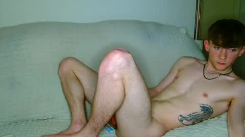 lilbearxxxx online show from May 2026 11:32:02 PM