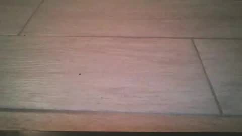 lildicksissy online show from November 2025 11:59:01 PM