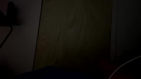 Snapshot of lildudeandme chatting on October 2025 08:04:02 AM lildudeandme online show from October 2025 08:04:02 AM