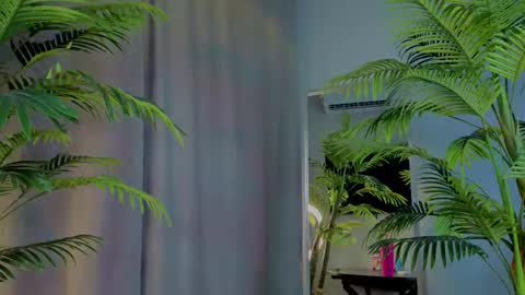 Snapshot of lililok101 chatting on November 2025 02:22:02 AM lililok101 online show from November 2025 02:22:02 AM