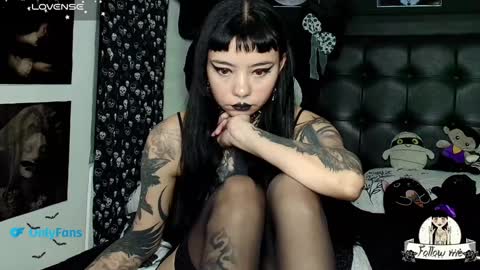   online show from January 2025 12:16:02 AM