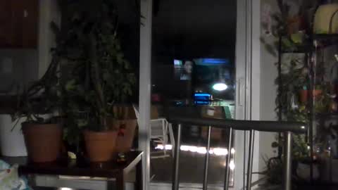 Snapshot of lillexxxylover chatting on November 2025 01:59:02 AM Lexy online show from November 2025 01:59:02 AM