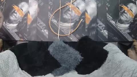 lilmissbaddiexxx online show from May 2026 06:16:02 PM