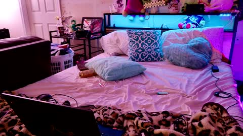 jasmine spunn online show from January 2025 09:26:01 AM