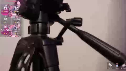 Snapshot of lily_beet chatting on November 2025 03:50:01 AM Lily online show from November 2025 03:50:01 AM