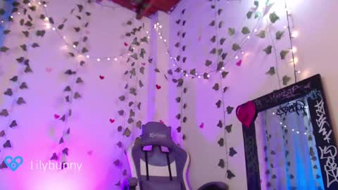 Snapshot of lily_bunny_1 chatting on February 2025 07:41:01 PM Fansly LilyBunny- help me reach 50 thumbs up online show from February 2025 07:41:01 PM