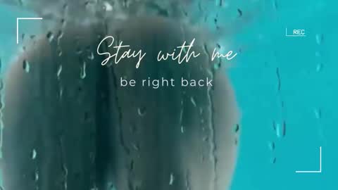 Lily online show from December 2025 07:04:02 AM