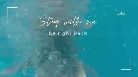 Snapshot of lily_foster_ chatting on February 2026 06:42:01 AM Lily online show from February 2026 06:42:01 AM