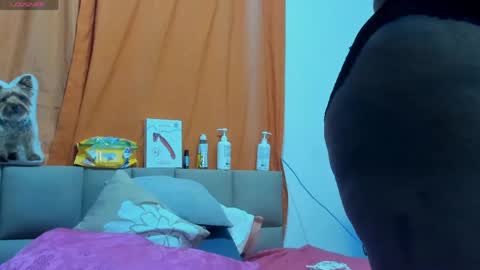 Lily online show from May 2026 09:03:02 AM