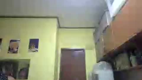 lilysette online show from June 2026 11:51:02 AM