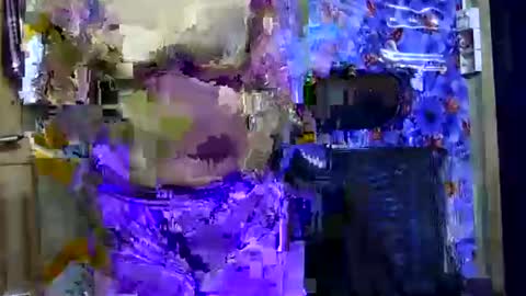 limaakter246618 online show from October 2025 04:41:01 PM