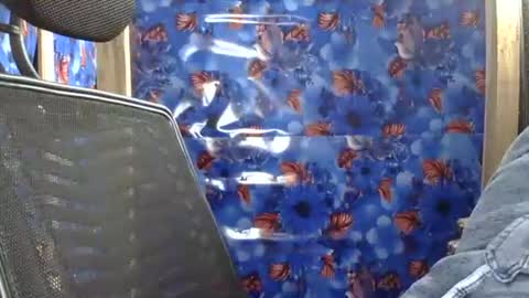 Snapshot of limaakter246618 chatting on February 2026 04:14:02 PM limaakter246618 online show from February 2026 04:14:02 PM