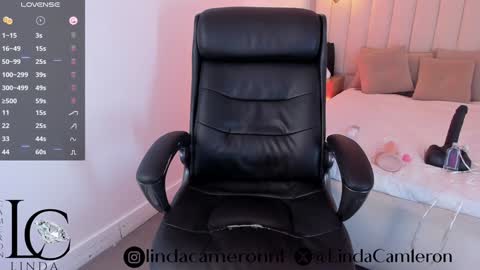 Snapshot of linda_cameron chatting on January 2025 06:11:01 AM Laura Garca online show from January 2025 06:11:01 AM