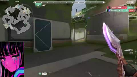 CatalinaANIDEA     online show from January 2025 05:52:01 AM