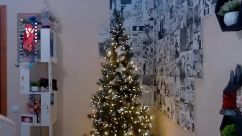 Snapshot of liniq chatting on December 2024 05:47:02 PM Lina online show from December 2024 05:47:02 PM