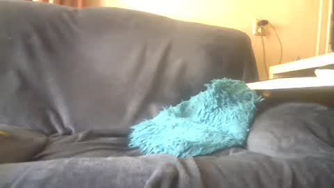 Snapshot of lion160868 chatting on February 2025 10:14:02 AM lion160868 online show from February 2025 10:14:02 AM